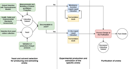 Fondecyt Research workflow diagram